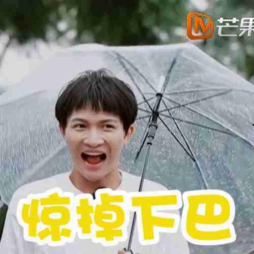 娱乐圈吃瓜成团宠