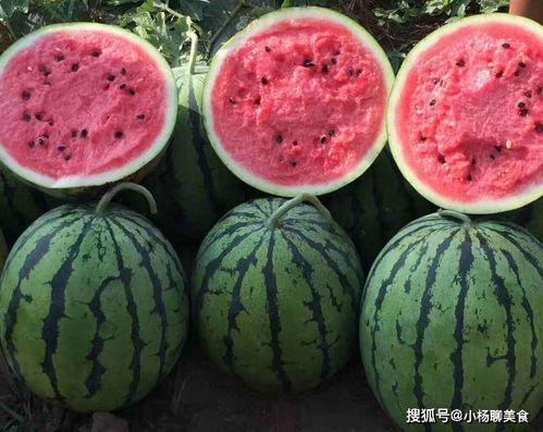 娱乐吃瓜酱好婚姻,好婚姻的秘诀与幸福生活