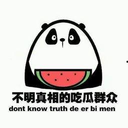 娱乐吃瓜君改名了吗,揭秘新名字背后的故事