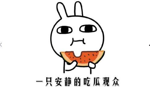 娱乐圈吃瓜的正确方法