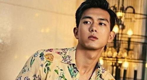 最新娱乐圈吃瓜爆料李现,娱乐圈再掀波澜