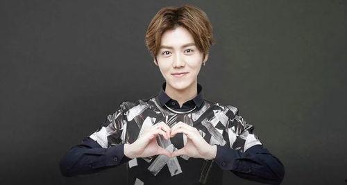 娱乐吃瓜猫鹿晗,娱乐吃瓜猫的时尚之旅